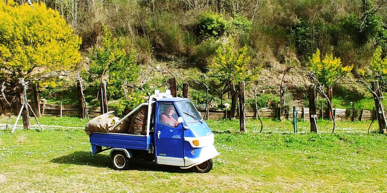Agricamping Ponteraggio N.1 Hotel Dolceacqua Exterior foto