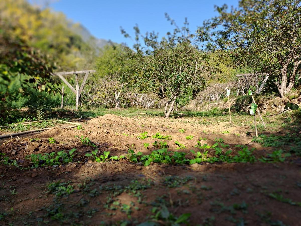 Agricamping Ponteraggio N.1 Hotel Dolceacqua Exterior foto