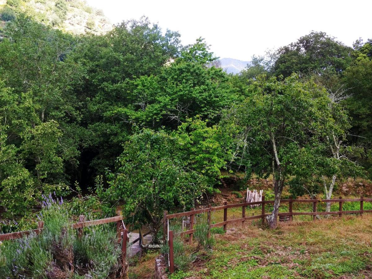 Agricamping Ponteraggio N.1 Hotel Dolceacqua Exterior foto