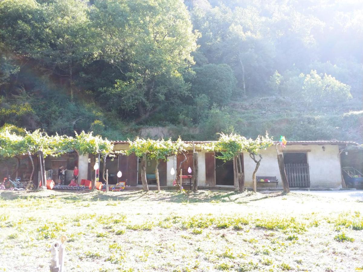Agricamping Ponteraggio N.1 Hotel Dolceacqua Exterior foto