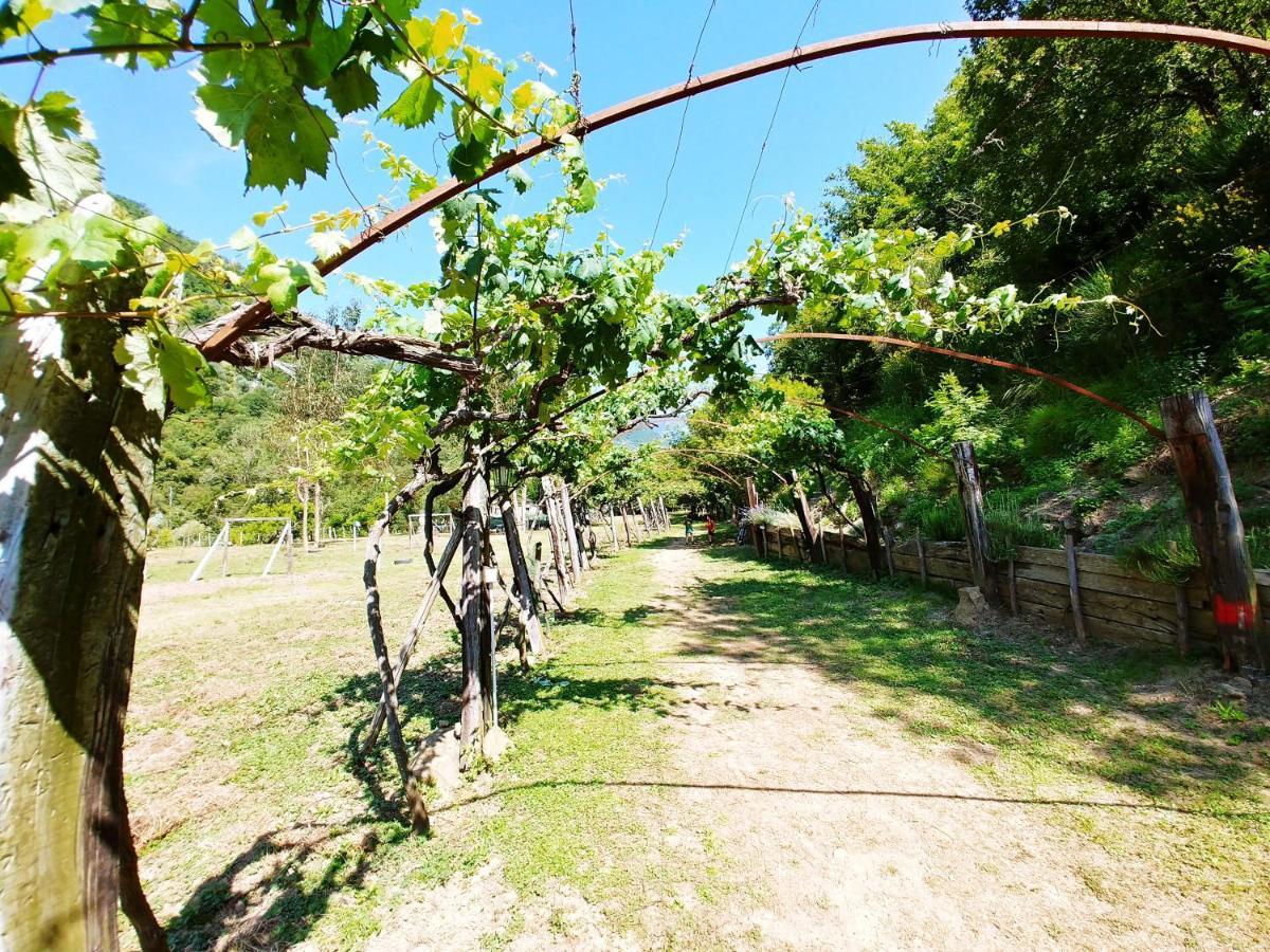 Agricamping Ponteraggio N.1 Hotel Dolceacqua Exterior foto