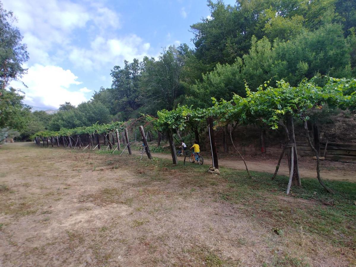 Agricamping Ponteraggio N.1 Hotel Dolceacqua Exterior foto