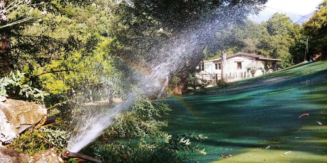 Agricamping Ponteraggio N.1 Hotel Dolceacqua Exterior foto