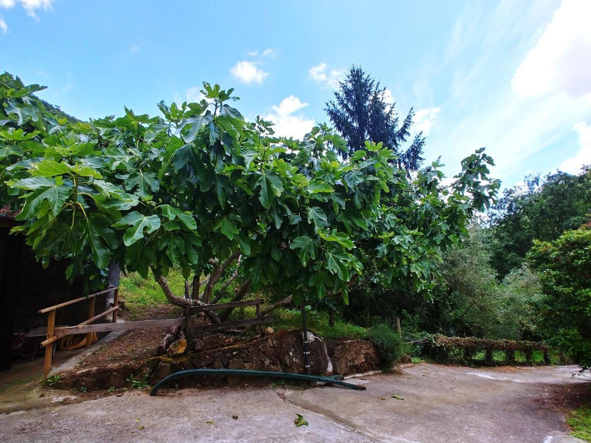 Agricamping Ponteraggio N.1 Hotel Dolceacqua Exterior foto