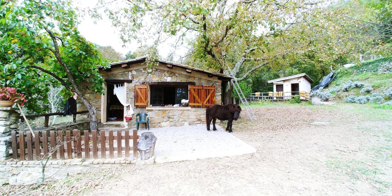 Agricamping Ponteraggio N.1 Hotel Dolceacqua Exterior foto