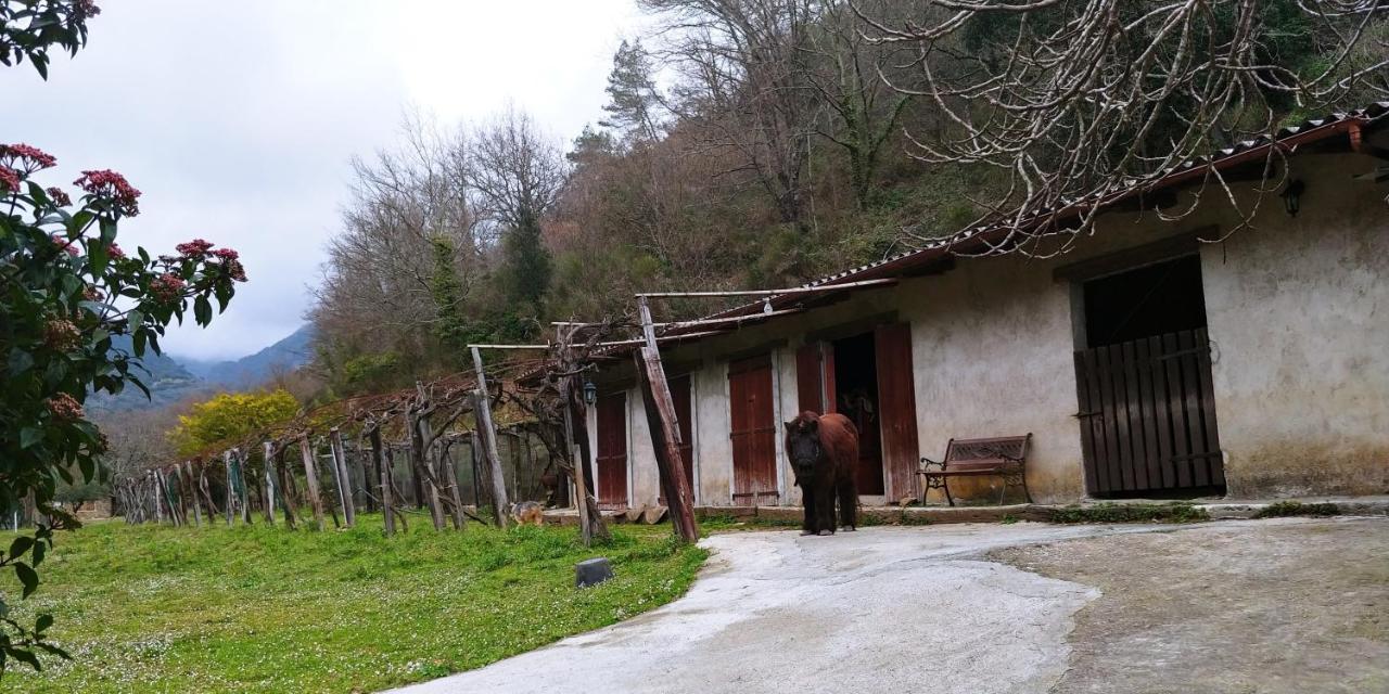 Agricamping Ponteraggio N.1 Hotel Dolceacqua Exterior foto