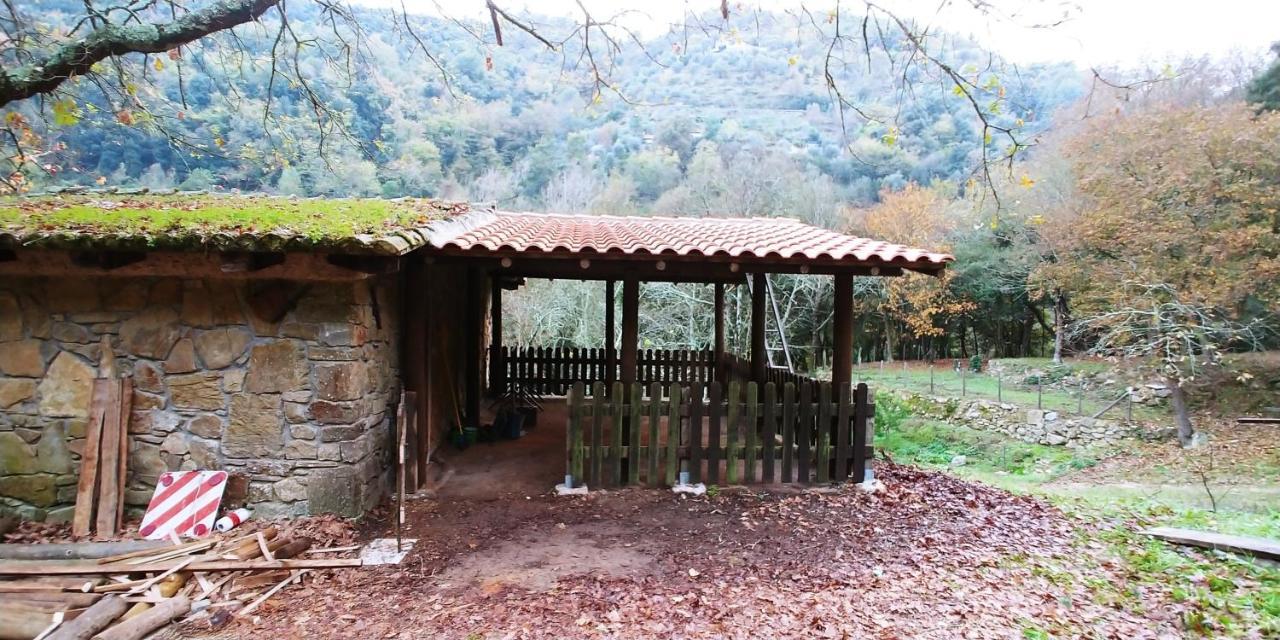 Agricamping Ponteraggio N.1 Hotel Dolceacqua Exterior foto