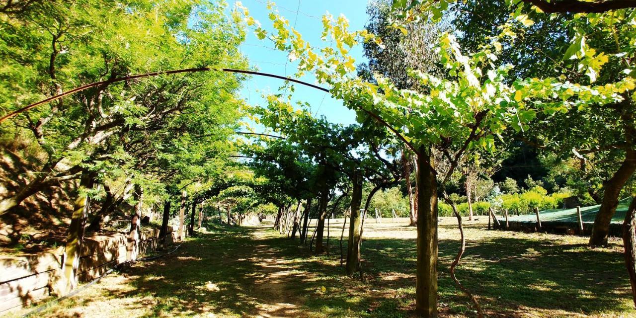 Agricamping Ponteraggio N.1 Hotel Dolceacqua Exterior foto